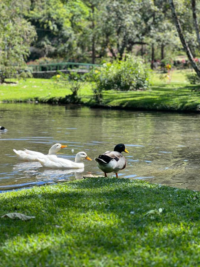 La Casa De Los Patos El Valle de Anton Extérieur photo